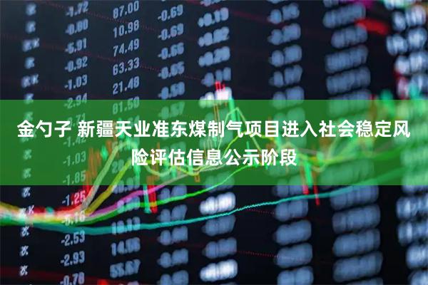 金勺子 新疆天业准东煤制气项目进入社会稳定风险评估信息公示阶段