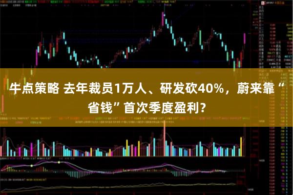 牛点策略 去年裁员1万人、研发砍40%，蔚来靠“省钱”首次季度盈利？